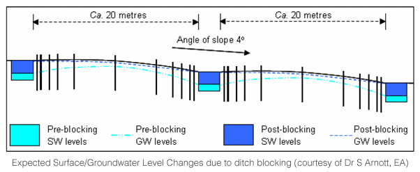 Expected Surface/Groundwater Level Changes due to ditch blocking (courtesy of Dr S Arnott, EA)
