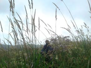 Water Quality Monitoring Study at Teragon Peat Bog