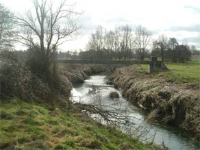 Site of Application