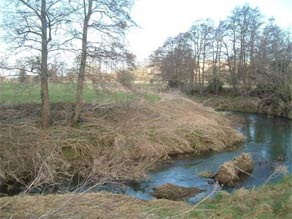 Site of Application