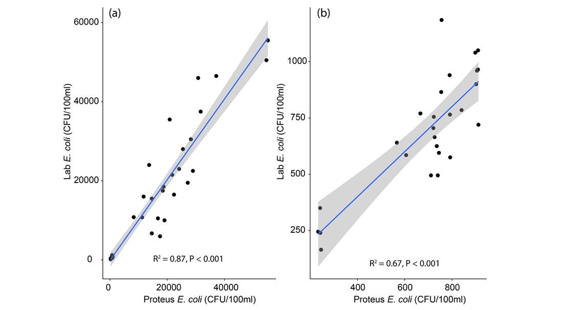  Relationship between the Proteus measurement of E. coli and laboratory measurements for all samples.