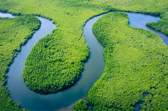 Monitoring Inundation Levels in Floodplain Forest Sites