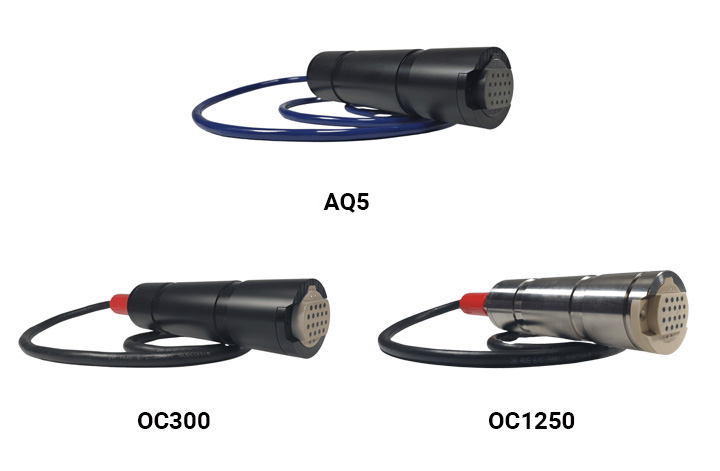 Calibration Free pH Sensors 